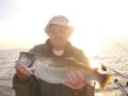 DSC02950.jpg (42kb)
