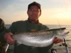 DSC02951.jpg (51kb)