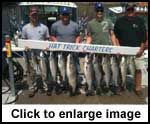 Salmon have arrived!